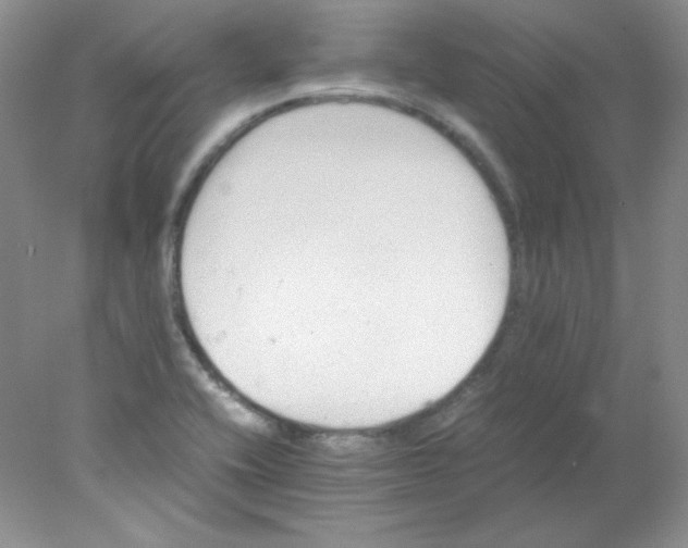 X0000078021416200611251518