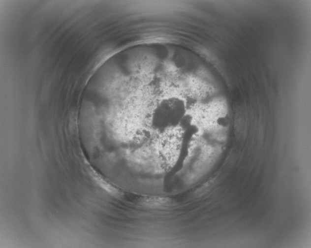 X0000078021417200611251518