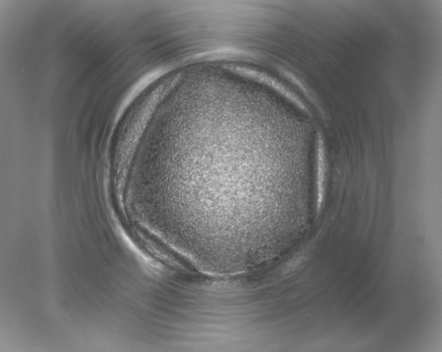 X0000078021418200611251518