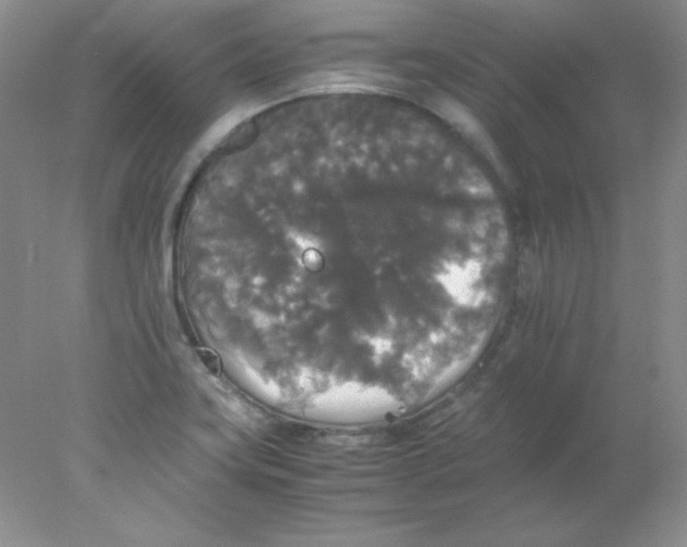 X0000078021419200611251518