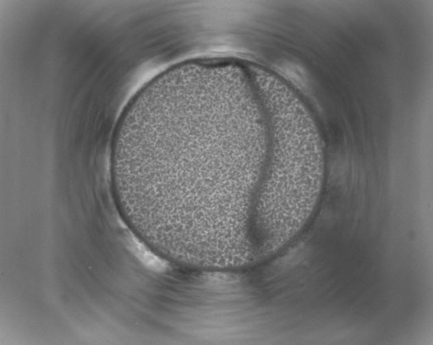 X0000078021420200611251518