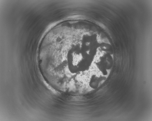 X0000078021421200611251518