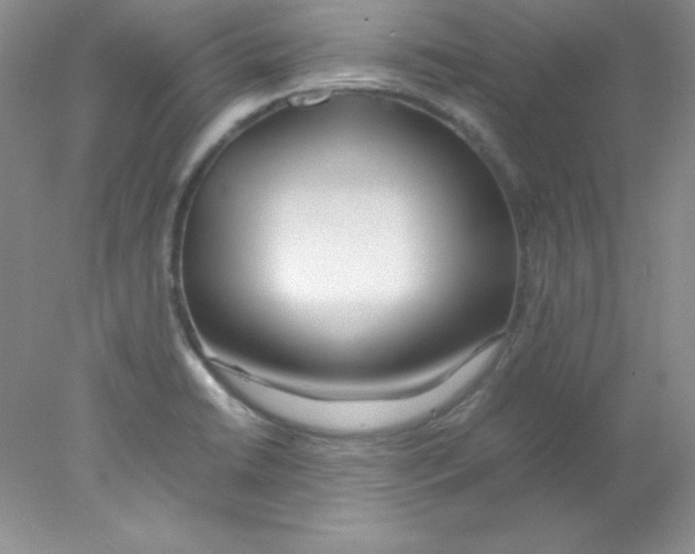 X0000078021422200611251518