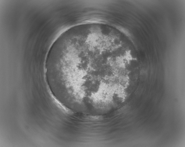 X0000078021423200611251518