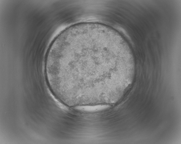 X0000078021424200611251518