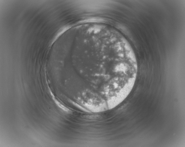 X0000078021425200611251518