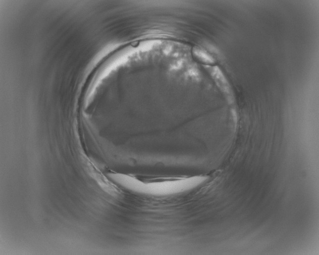 X0000078021427200611251518