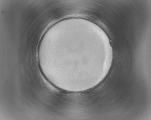 X0000078021428200611251518