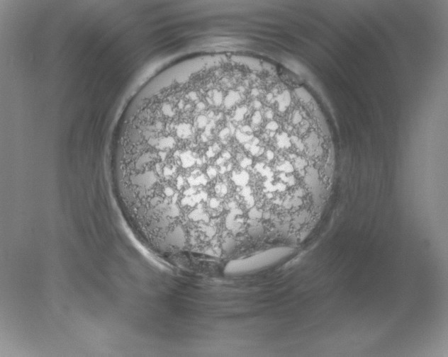 X0000078021429200611251518