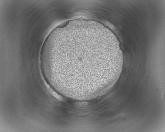 X0000078021431200611251518