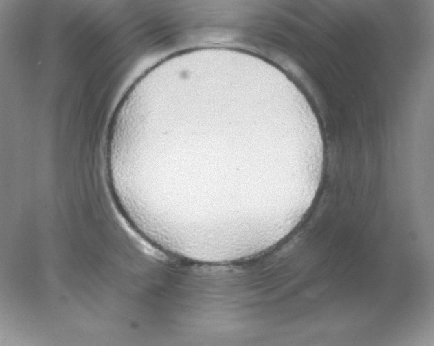 X0000078021432200611251518