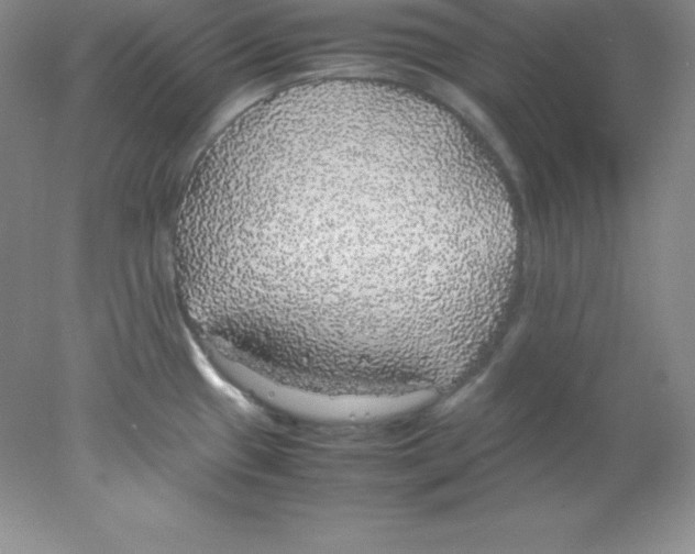 X0000078021433200611251518