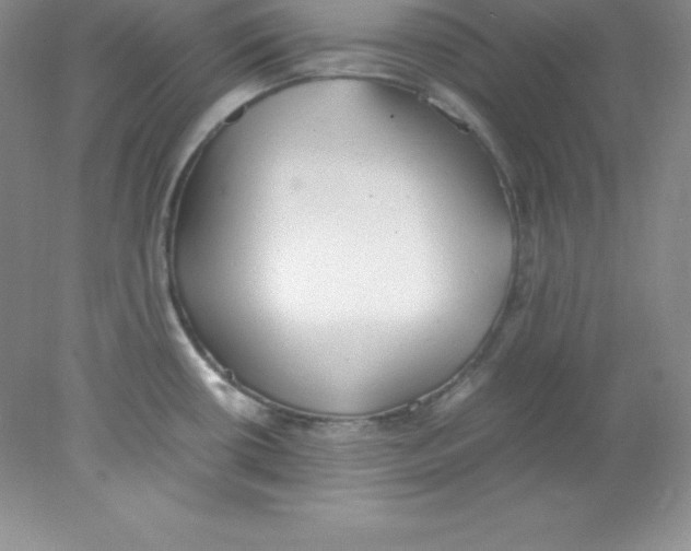 X0000078021434200611251518