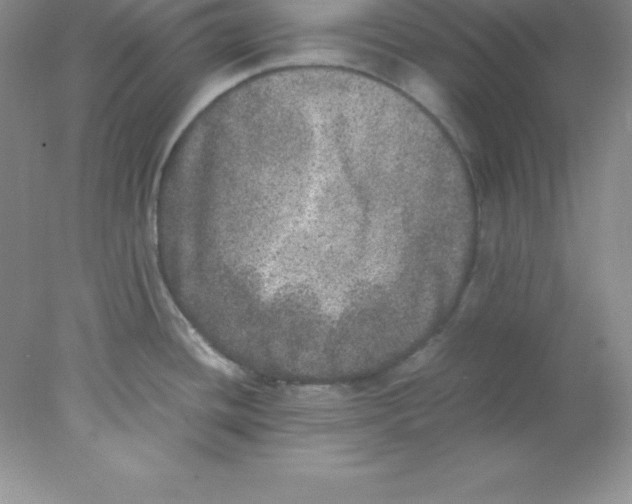 X0000078021436200611251518