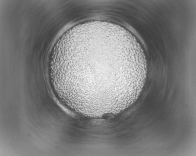 X0000078021437200611251518