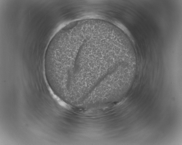 X0000078021439200611251518