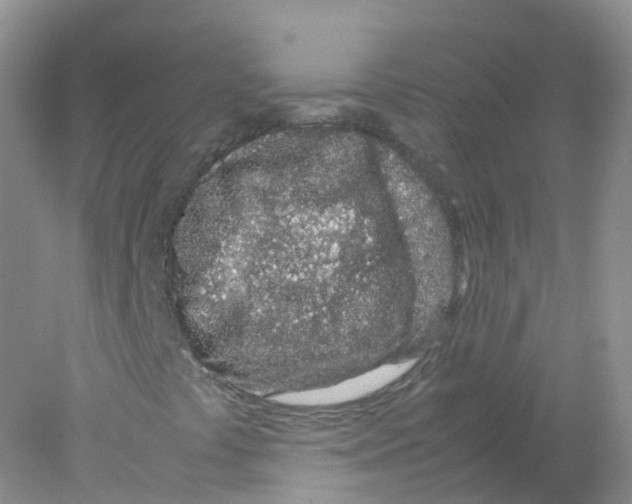 X0000078021441200611251517