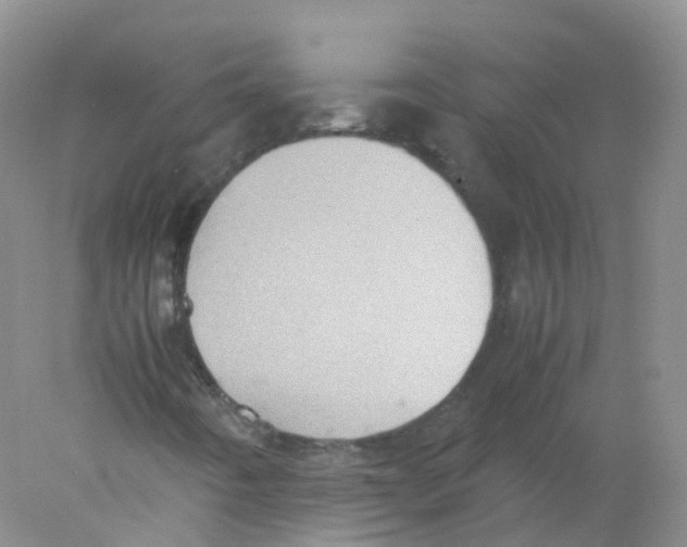 X0000078021442200611251517