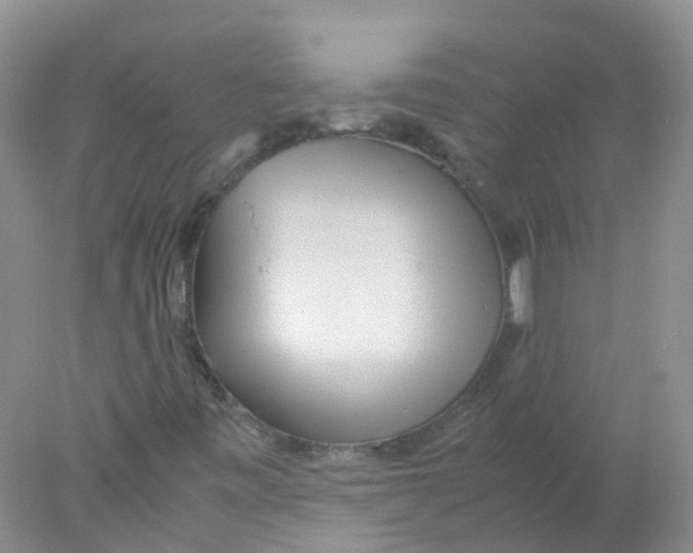 X0000078021443200611251517