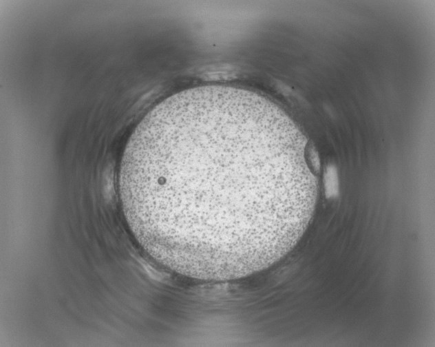 X0000078021444200611251517