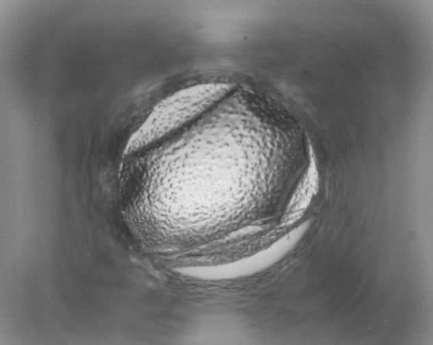 X0000078021445200611251517