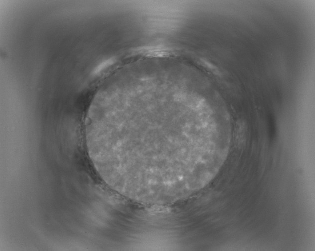 X0000078021446200611251517