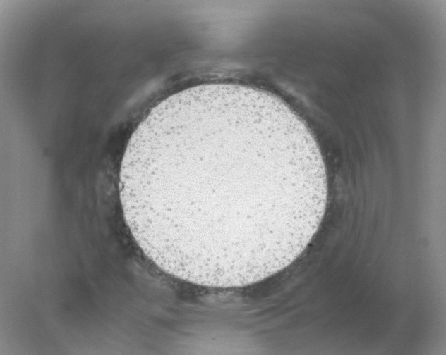 X0000078021447200611251517