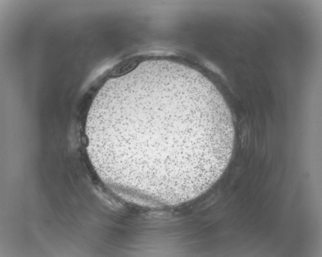 X0000078021448200611251517