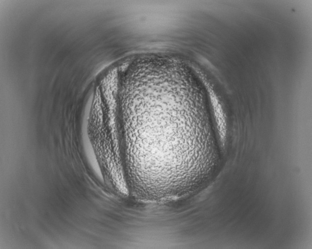 X0000078021449200611251517