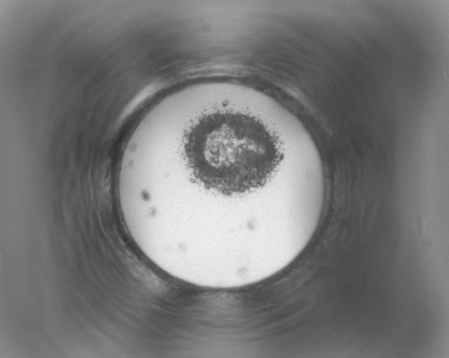 X0000078021450200611251517