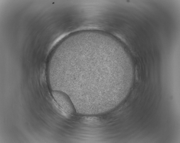 X0000078021452200611251517