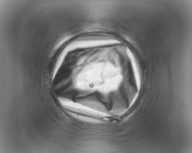 X0000078021453200611251517