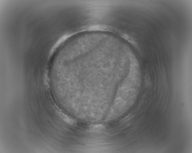 X0000078021454200611251517