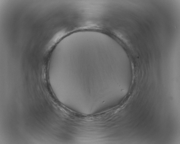 X0000078021455200611251517