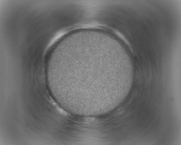 X0000078021456200611251517