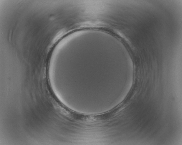 X0000078021459200611251517