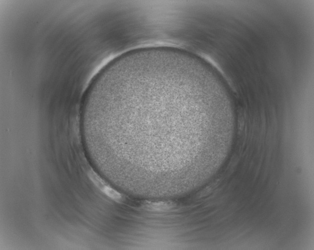 X0000078021460200611251517