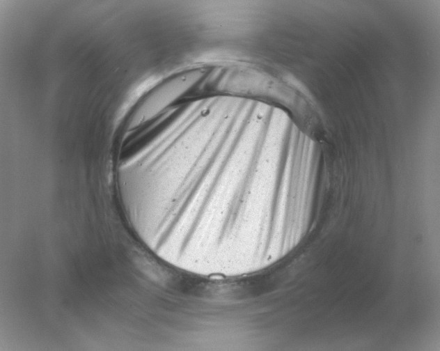 X0000078021461200611251517