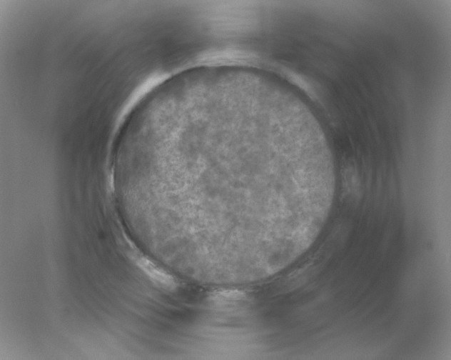 X0000078021462200611251517