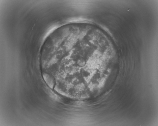 X0000078021463200611251517