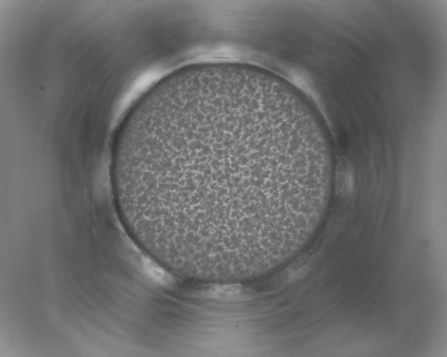 X0000078021464200611251517