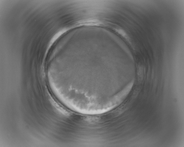 X0000078021466200611251517