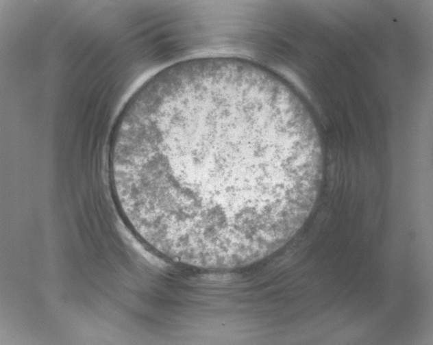 X0000078021468200611251517