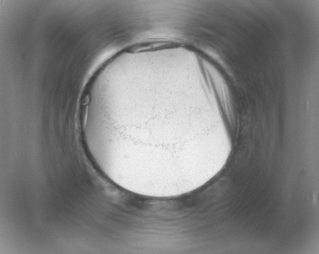 X0000078021469200611251517