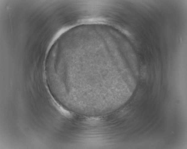 X0000078021470200611251517