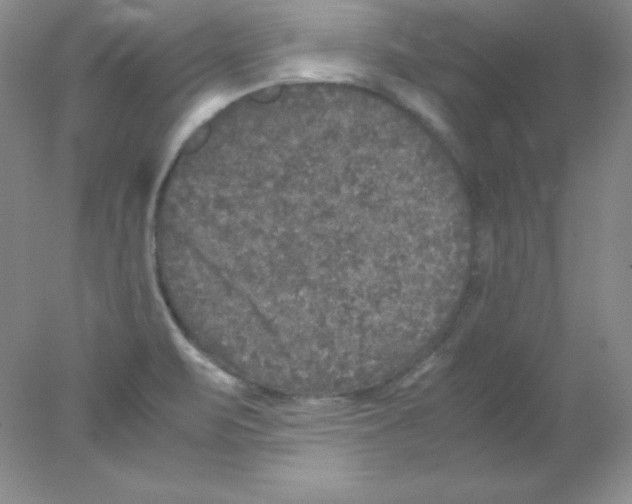 X0000078021471200611251517