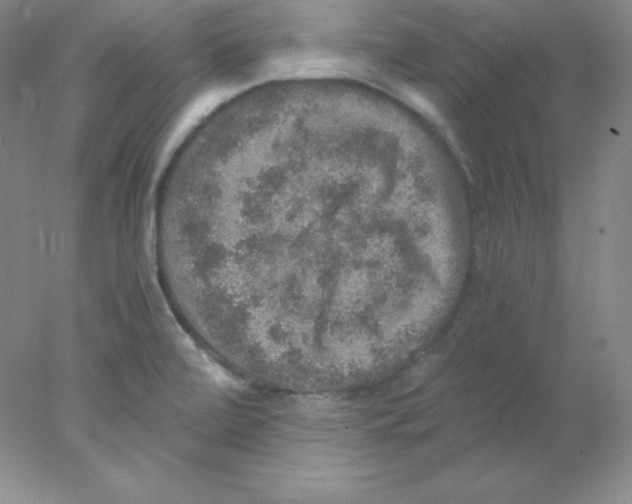 X0000078021472200611251517