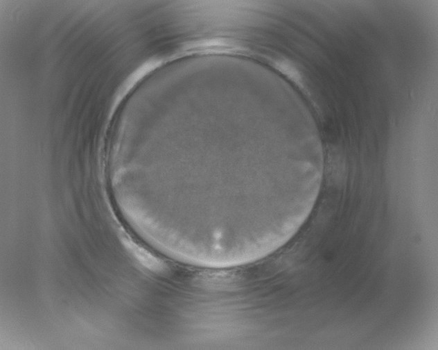 X0000078021474200611251517