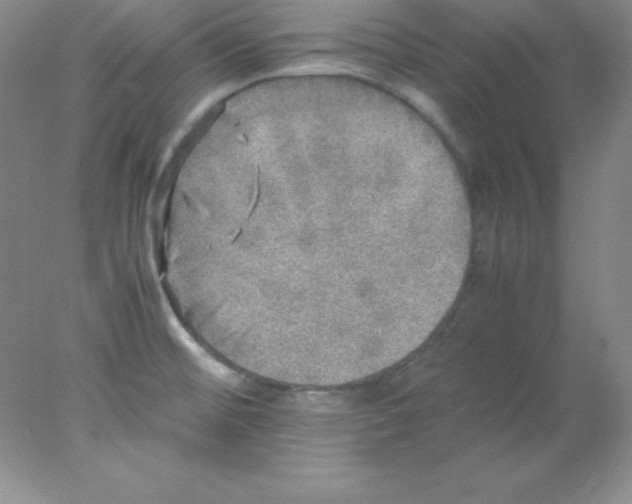 X0000078021476200611251517