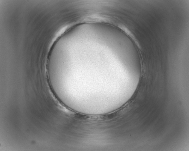 X0000078021477200611251517